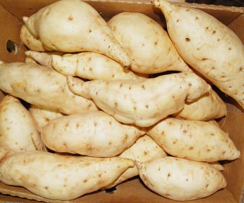 Fresh Sweet Potatoes from Uganda
