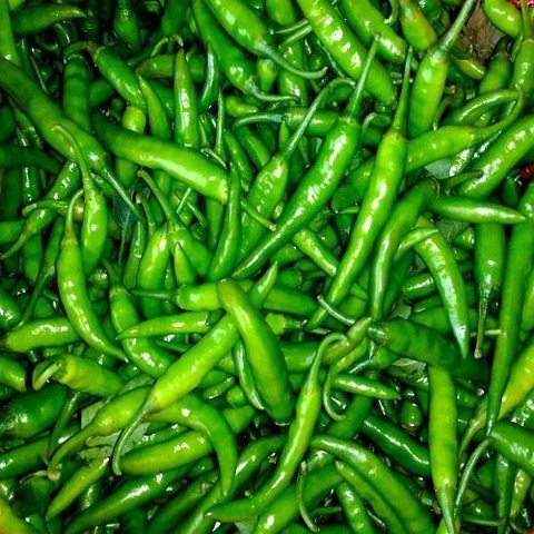 Vegetable Exporters in Uganda
