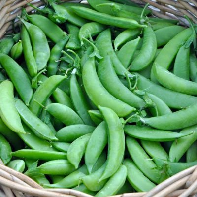 Exporting Fresh Fruits and Vegetables from Uganda to the UK