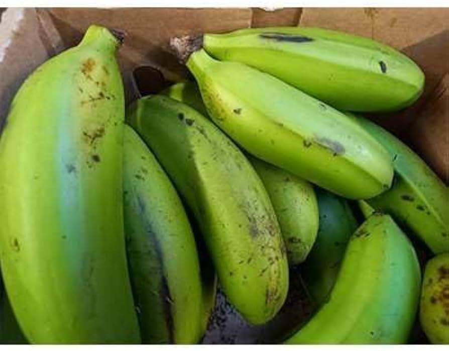 Wholesale East African Fresh Produce Distributors