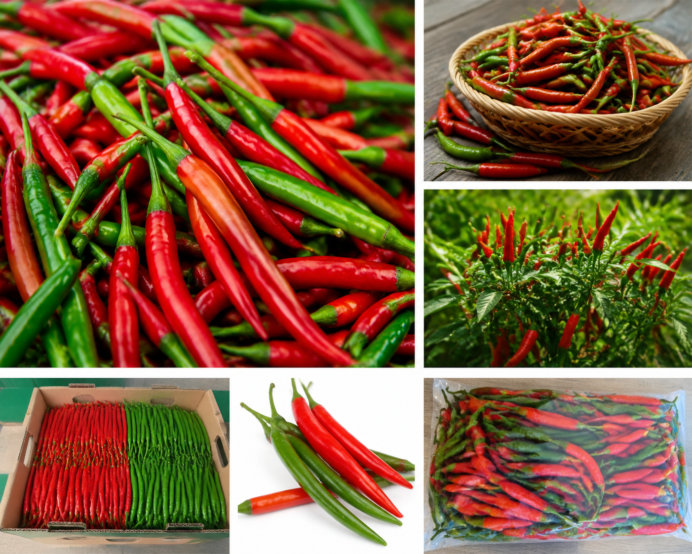 Wholesale East African Fresh Produce Distributors