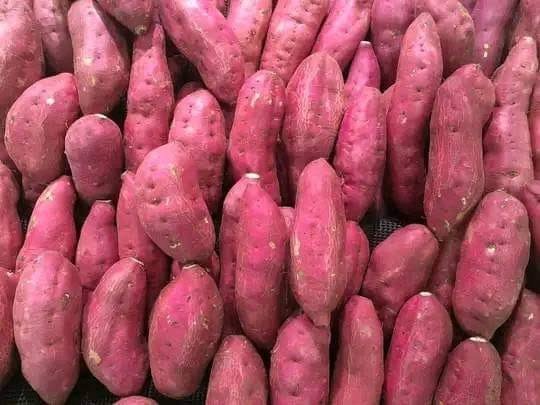 Sweet Potato Exporters from Uganda