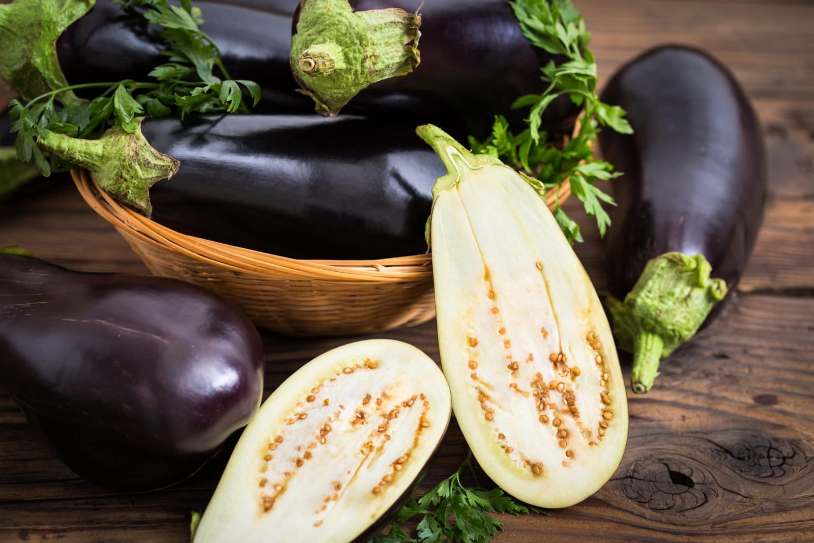 Bulk Eggplant Suppliers in Uganda