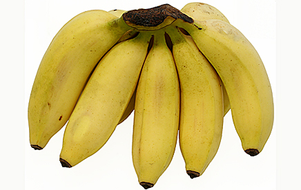 Fresh Fruits Suppliers in Uganda