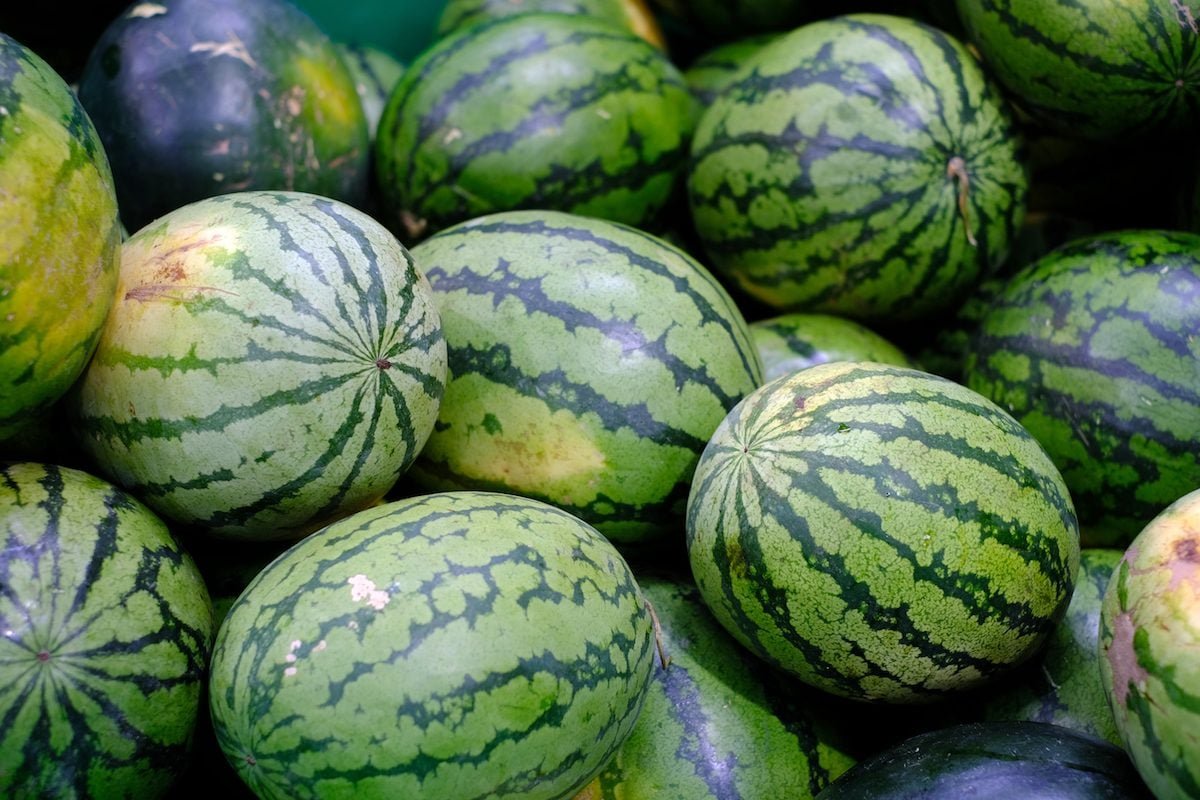 Fresh Watermelons