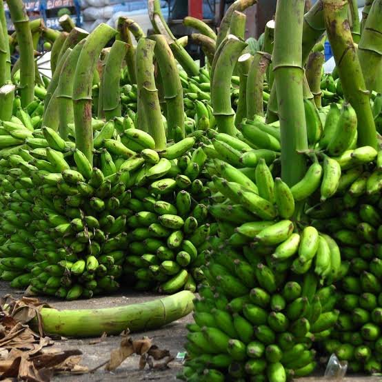 Import Fresh Bananas from Uganda to Germany