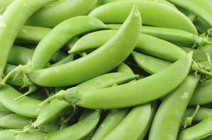 Sugar Snap Pea Exporters in Uganda