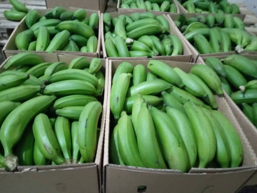 Matooke Suppliers in Uganda