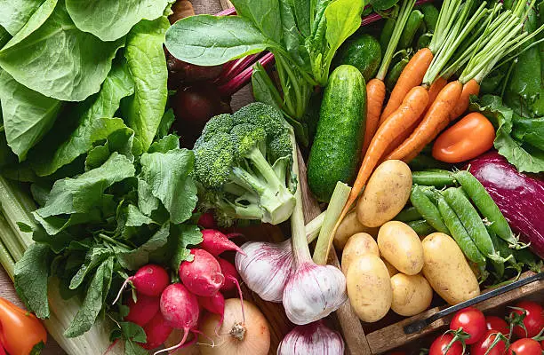 Vegetable Suppliers in Uganda
