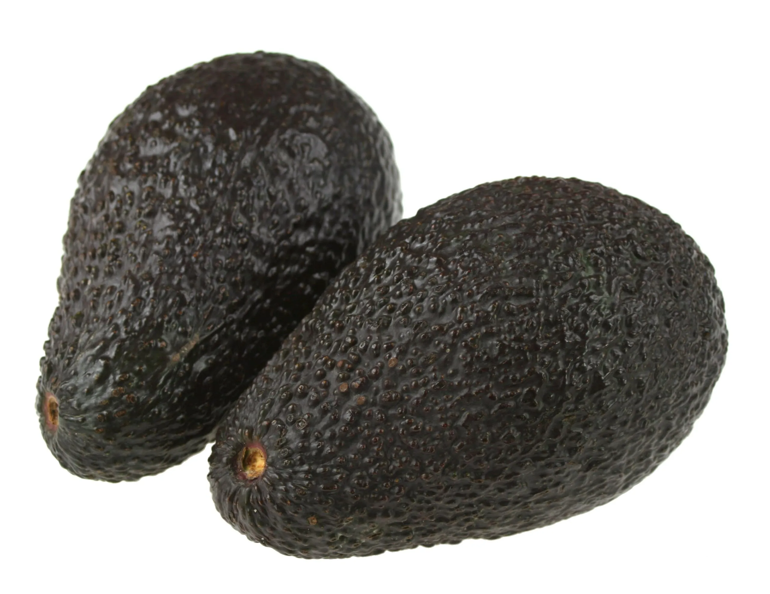 Fresh Avocados from Uganda