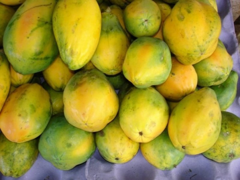 Fresh Papaya Exporters in Uganda