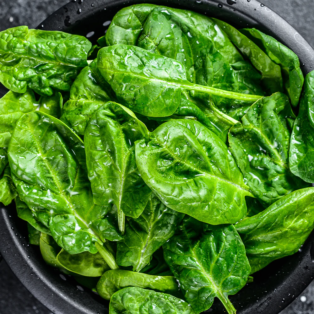 Fresh Spinach from Uganda