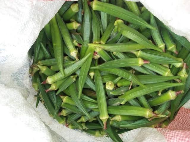 Fresh Okra Exporters in Uganda