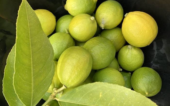 Mixed Tropical Fruit Exporters in Uganda