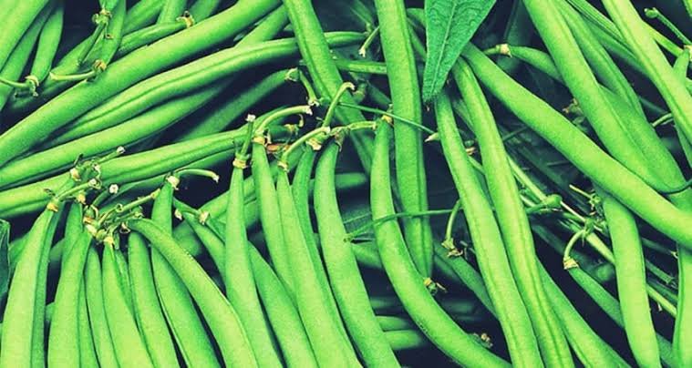 French Bean Exporters in Uganda
