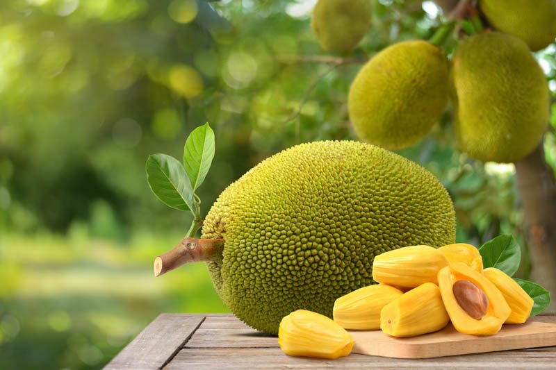 Wholesale East African Fresh Produce Distributors