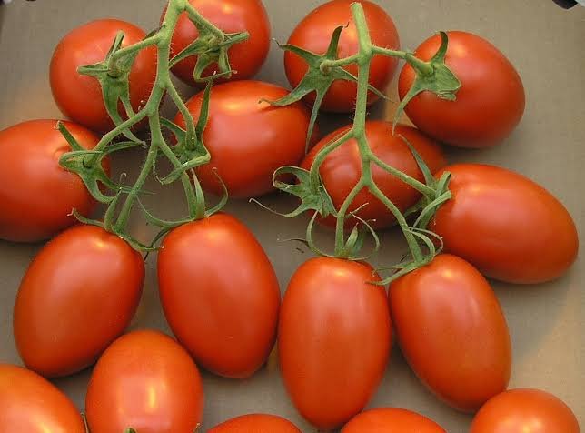 Fresh Roma Tomatoes